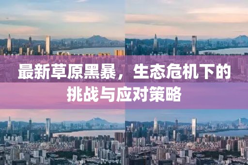 最新草原黑暴，生态危机下的挑战与应对策略