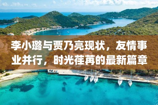 李小璐与贾乃亮现状，友情事业并行，时光荏苒的最新篇章