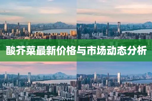 酸芥菜最新价格与市场动态分析