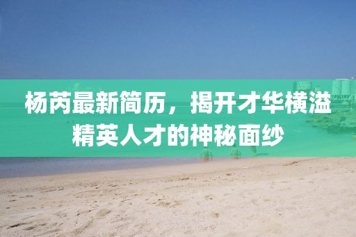 杨芮最新简历，揭开才华横溢精英人才的神秘面纱