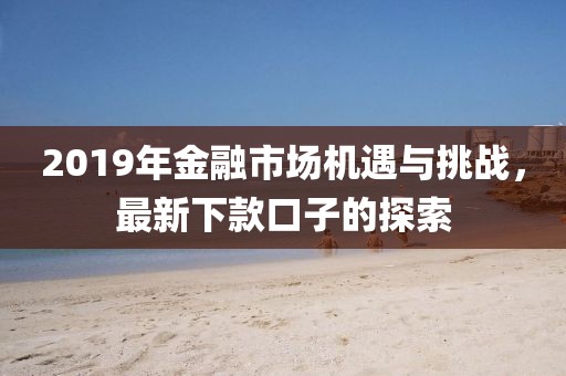 2019年金融市场机遇与挑战，最新下款口子的探索