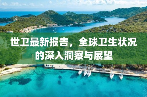 世卫最新报告，全球卫生状况的深入洞察与展望