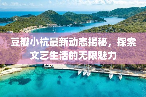 豆瓣小杭最新动态揭秘，探索文艺生活的无限魅力