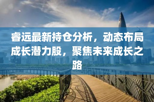 睿远最新持仓分析，动态布局成长潜力股，聚焦未来成长之路