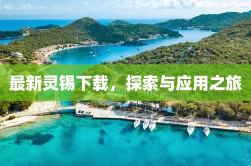 最新灵锡下载，探索与应用之旅