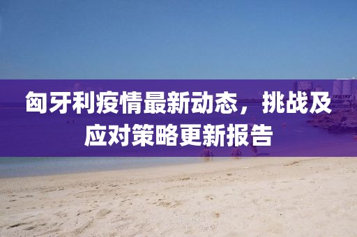 匈牙利疫情最新动态，挑战及应对策略更新报告
