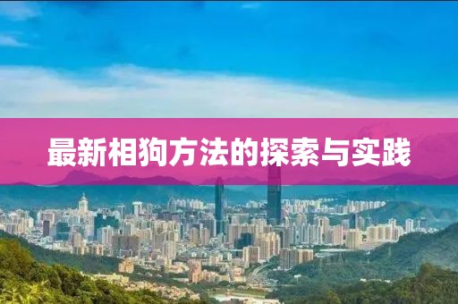 最新相狗方法的探索与实践