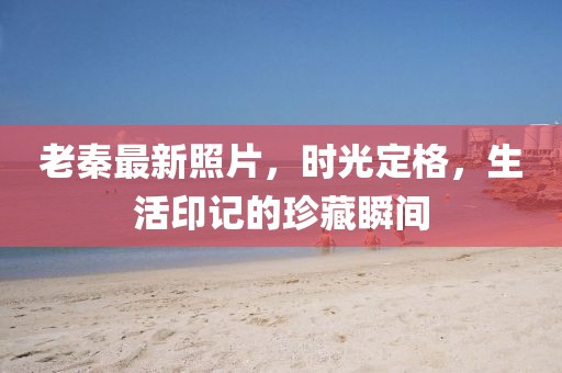 老秦最新照片，时光定格，生活印记的珍藏瞬间