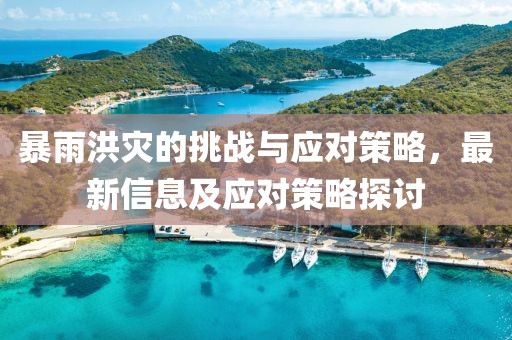 暴雨洪灾的挑战与应对策略，最新信息及应对策略探讨