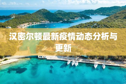 汉密尔顿最新疫情动态分析与更新