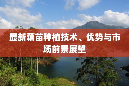 最新藕苗种植技术、优势与市场前景展望