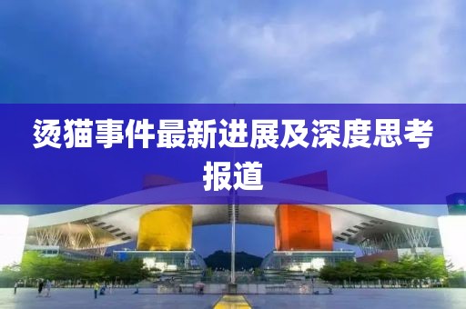 烫猫事件最新进展及深度思考报道