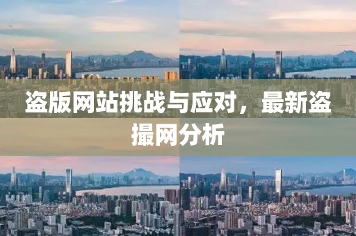 盗版网站挑战与应对，最新盗撮网分析
