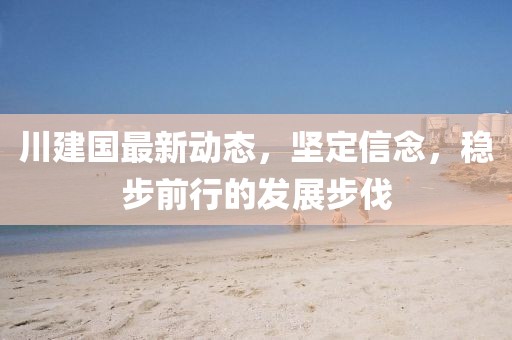 川建国最新动态，坚定信念，稳步前行的发展步伐
