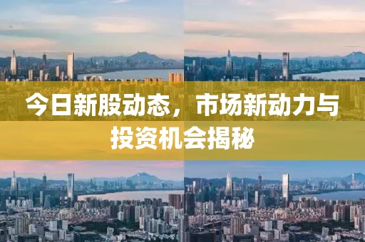 今日新股动态，市场新动力与投资机会揭秘