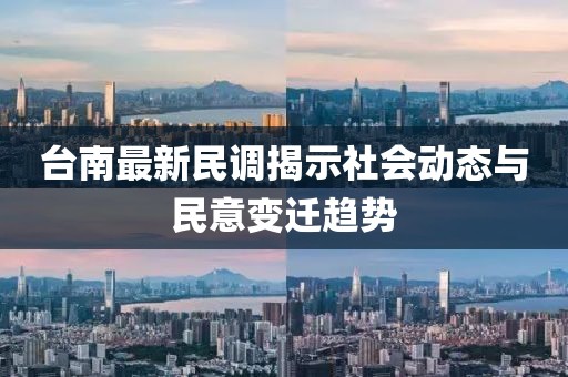 台南最新民调揭示社会动态与民意变迁趋势
