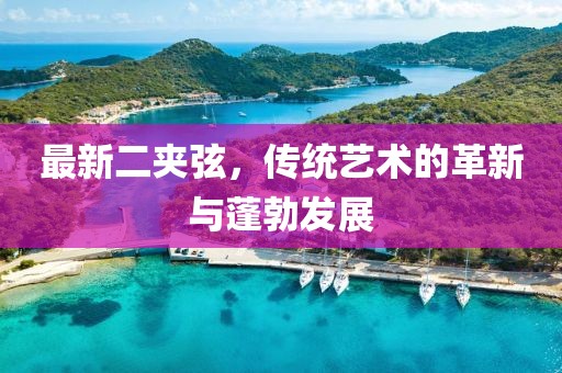 最新二夹弦，传统艺术的革新与蓬勃发展