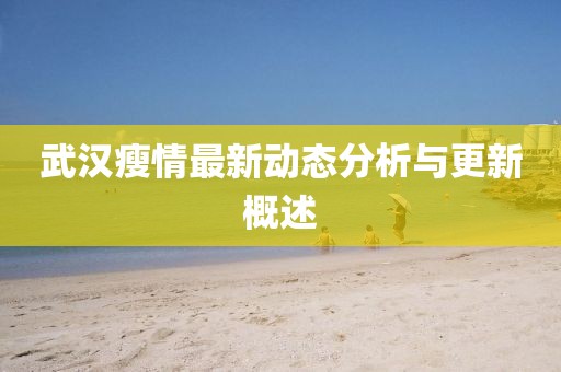 武汉瘦情最新动态分析与更新概述