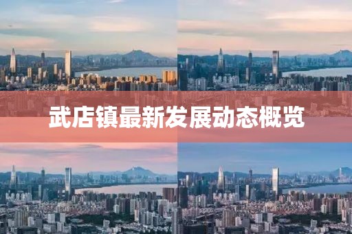 武店镇最新发展动态概览