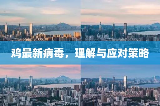 鸡最新病毒，理解与应对策略