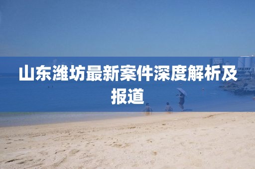 山东潍坊最新案件深度解析及报道
