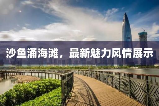 沙鱼涌海滩，最新魅力风情展示
