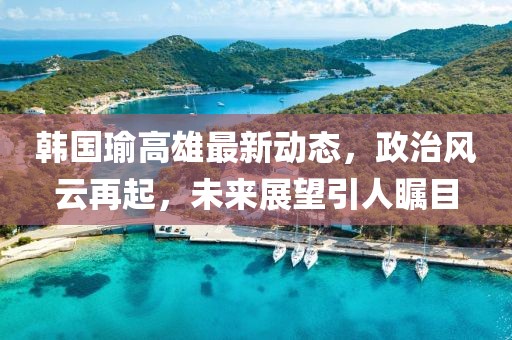韩国瑜高雄最新动态，政治风云再起，未来展望引人瞩目