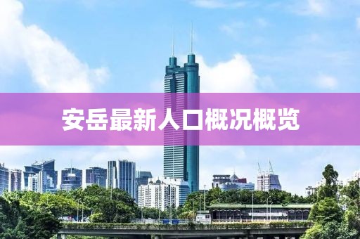 安岳最新人口概况概览