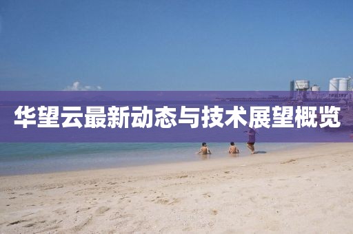华望云最新动态与技术展望概览