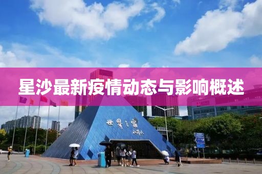 星沙最新疫情动态与影响概述