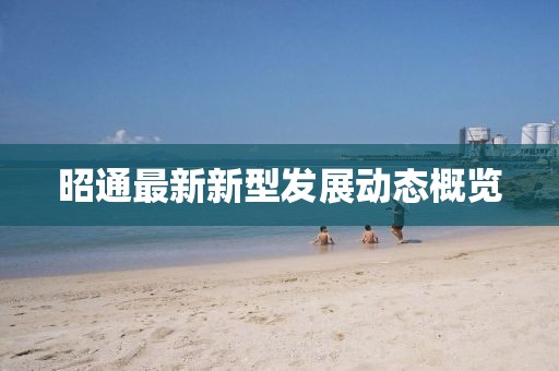 昭通最新新型发展动态概览