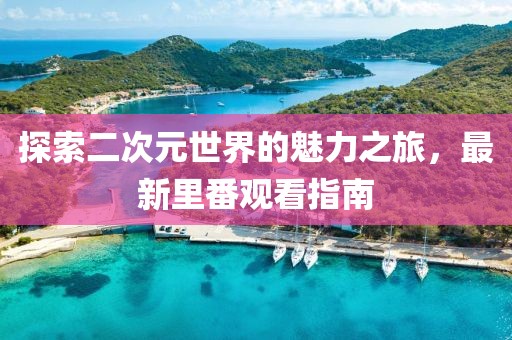 探索二次元世界的魅力之旅，最新里番观看指南
