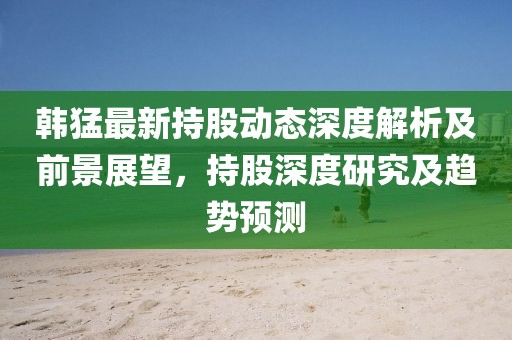 韩猛最新持股动态深度解析及前景展望，持股深度研究及趋势预测