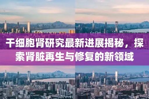 干细胞肾研究最新进展揭秘，探索肾脏再生与修复的新领域