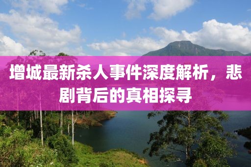 增城最新杀人事件深度解析，悲剧背后的真相探寻