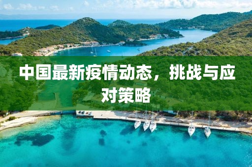 中国最新疫情动态，挑战与应对策略
