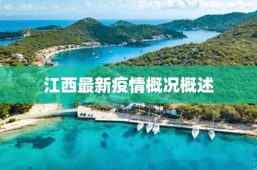 江西最新疫情概况概述
