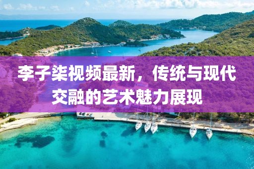 李子柒视频最新，传统与现代交融的艺术魅力展现