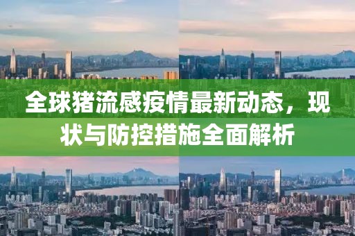 全球猪流感疫情最新动态，现状与防控措施全面解析