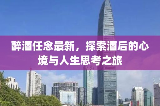 醉酒任念最新，探索酒后的心境与人生思考之旅