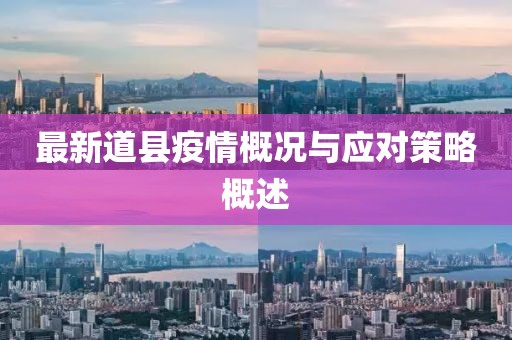 最新道县疫情概况与应对策略概述