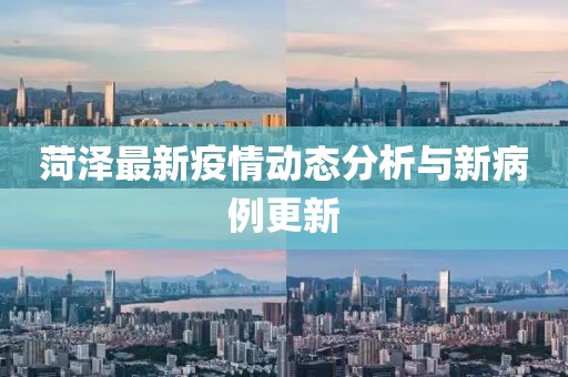 菏泽最新疫情动态分析与新病例更新