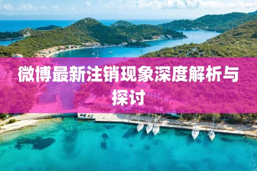 微博最新注销现象深度解析与探讨