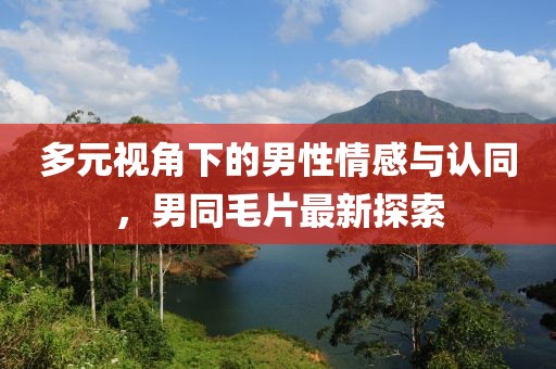 多元视角下的男性情感与认同，男同毛片最新探索