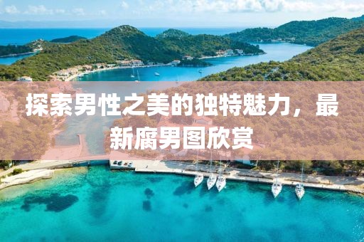 探索男性之美的独特魅力，最新腐男图欣赏