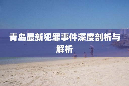 青岛最新犯罪事件深度剖析与解析