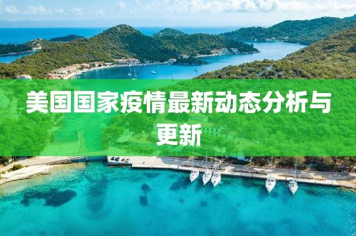美国国家疫情最新动态分析与更新