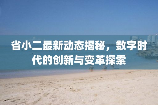 省小二最新动态揭秘，数字时代的创新与变革探索