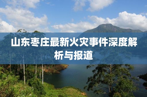 山东枣庄最新火灾事件深度解析与报道