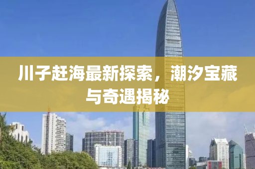 川子赶海最新探索，潮汐宝藏与奇遇揭秘